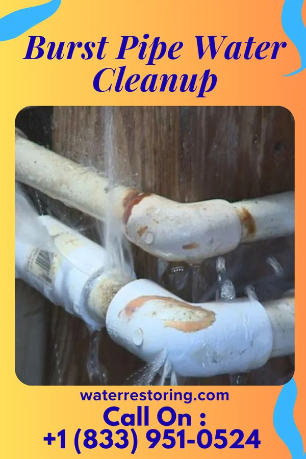 Burst Pipe Water Cleanup in Weirton, WV