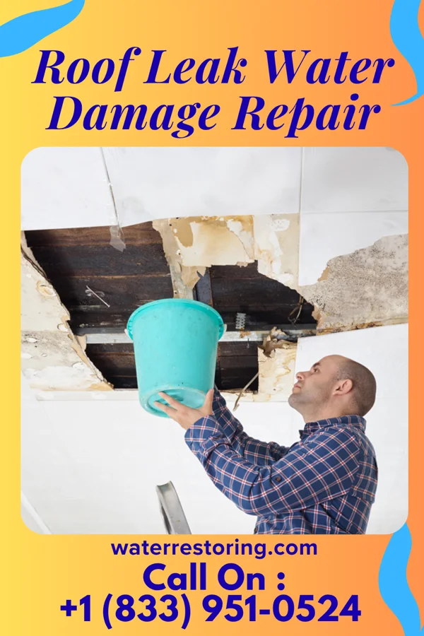 Roof Leak Water Damage Repair in Weirton, WV