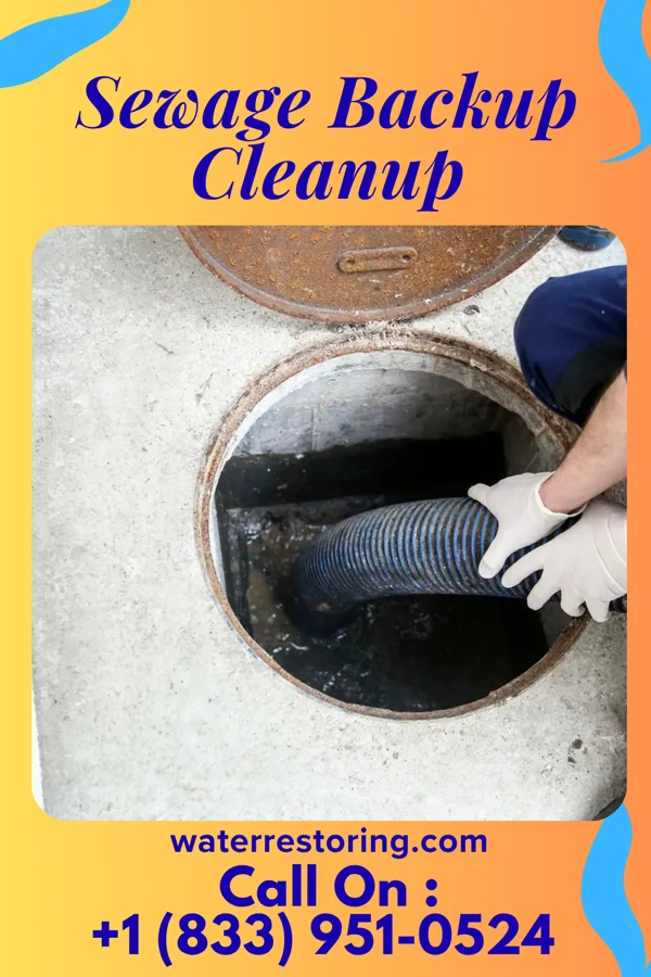 Sewage Backup Cleanup in Weirton, WV