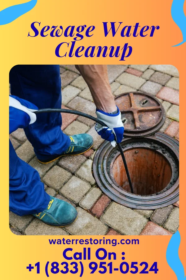 Sewage Water Cleanup in Weirton, WV